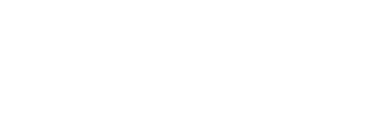 solventex logo